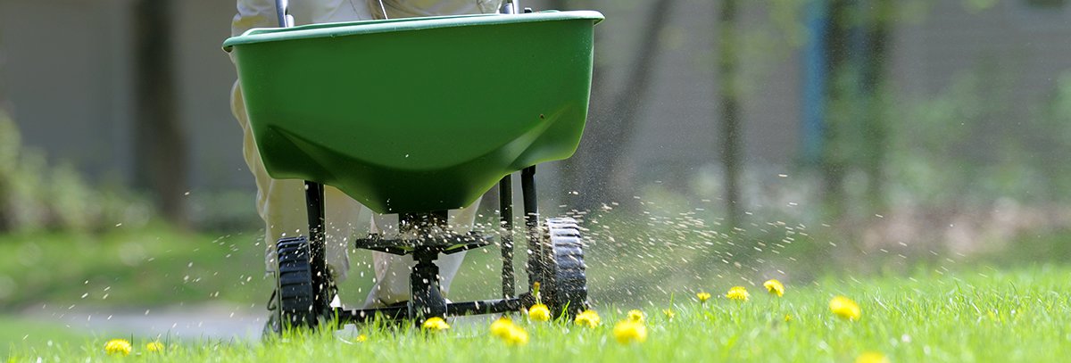 Tips for Summer Care of Turfgrass